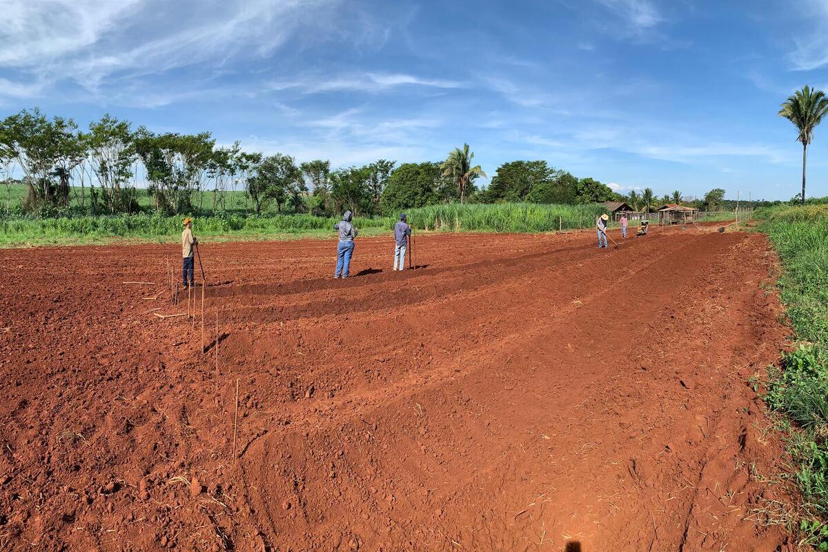 Atividade prática na Fazenda 2